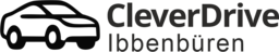 cleverdrive-ibb.de favicon